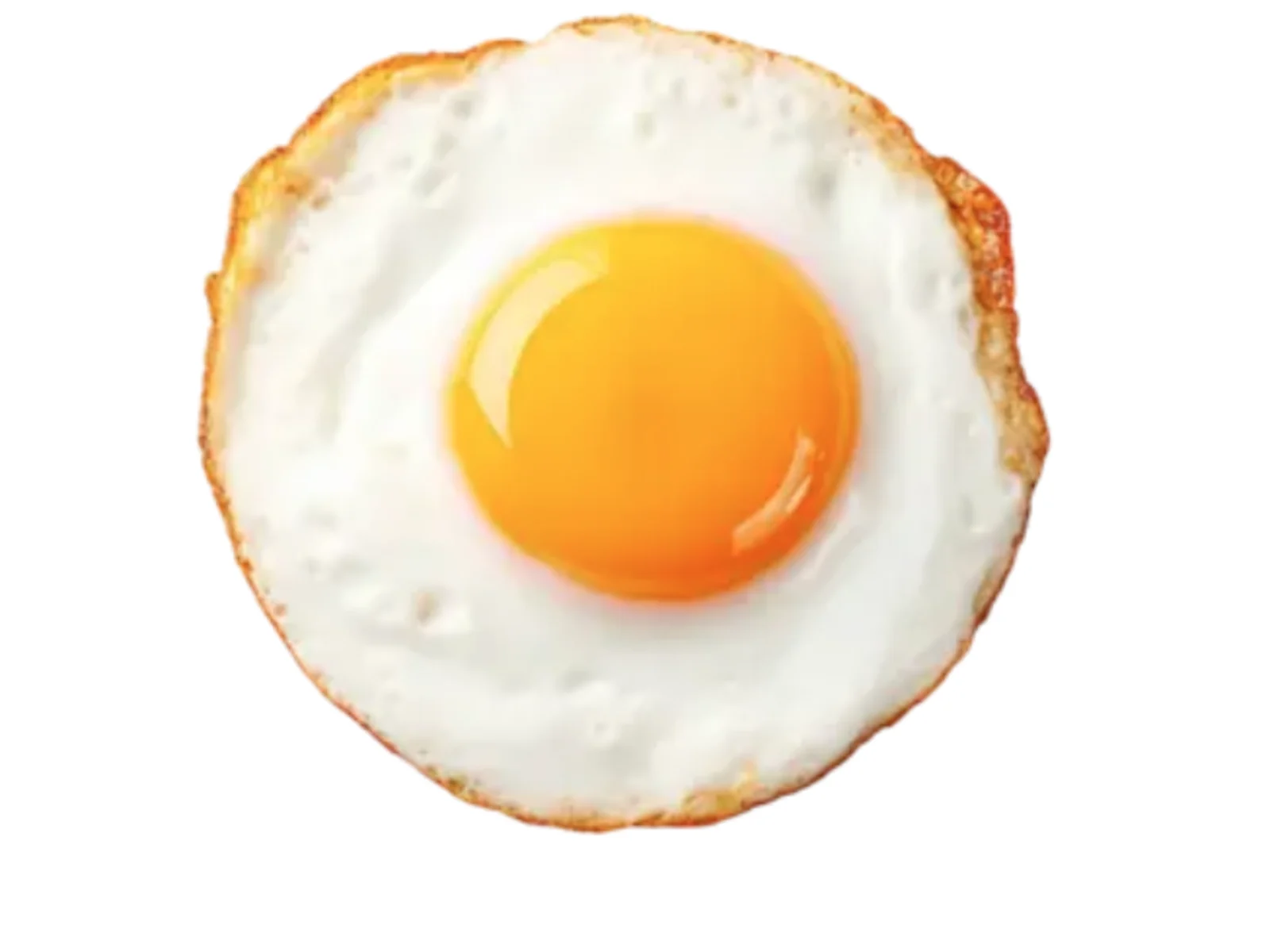 Fried Egg (계란후라이)