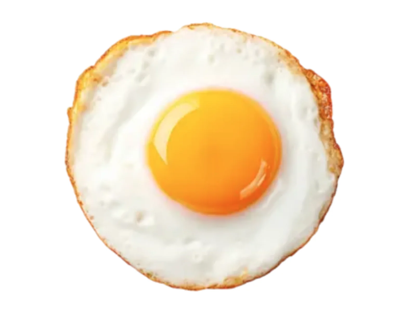 Fried Egg (계란후라이)