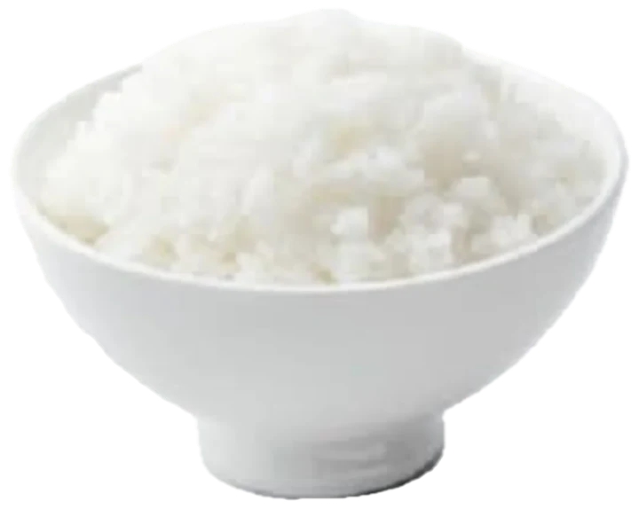 Bowl of Rice (공깃밥)
