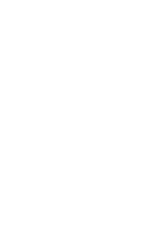 MINNO